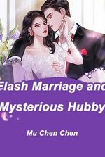 Flash Marriage and Mysterious Hubby