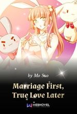 Marriage First, True Love Later Novel