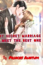 My Secret Marriage : Meet With The Best One
